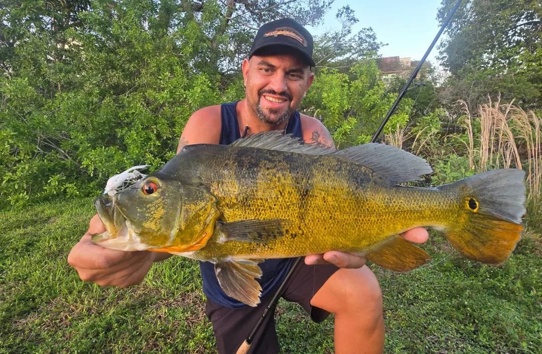 Quick Strike Podcast: Why You Need to Fish for These Hard-Fighting Florida Exotics Before You Die