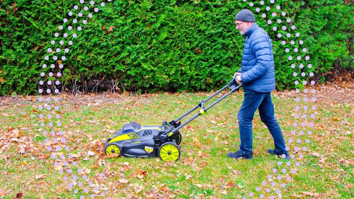 Please, for the sake of your grass, don't make these 8 fall lawn care mistakes
